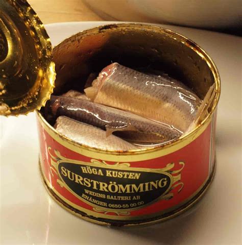 worst smelling fish in a can|Surströmming: the infamous Swedish fermented fish。